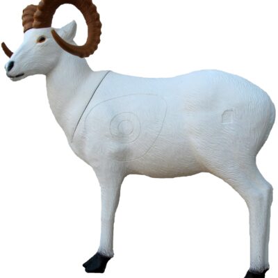 SRT Dall sheep standing with SFC inside