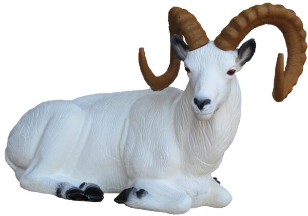 SRT Dall sheep bedded with SFC inside