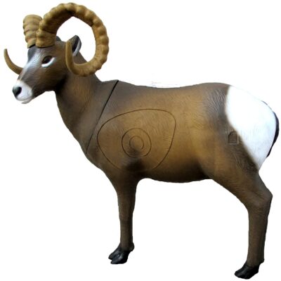 SRT Rocky Mountain Sheep standing with SFC inside