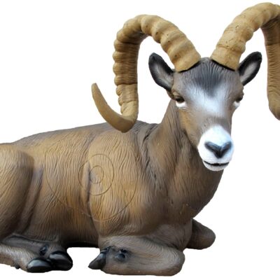SRT Rocky Mountain Sheep bedded with SFC inside