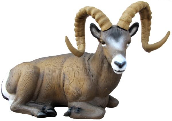 SRT Rocky Mountain Sheep bedded with SFC inside