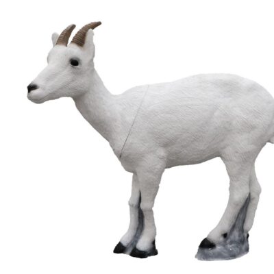 SRT Dall sheep Female