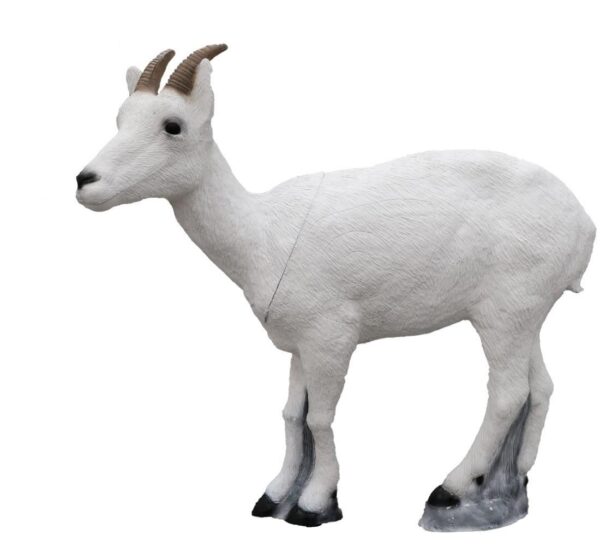 SRT Dall sheep Female