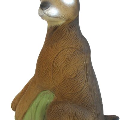 SRT Hare with SFC inside