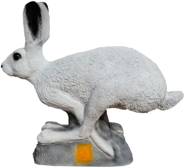 SRT Snow Hare