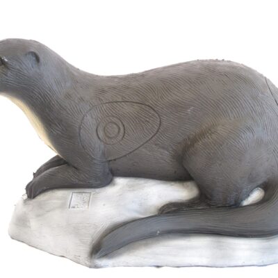 SRT Otter with SFC inside