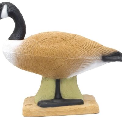 SRT Canadian Goose