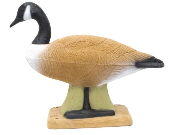 SRT Canadian Goose