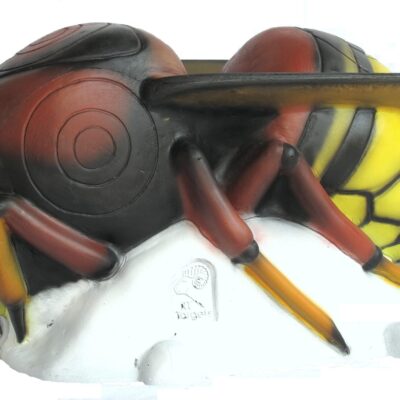 SRT Hornet