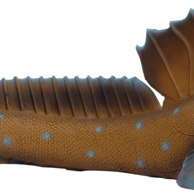 SRT Mudskipper