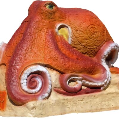 SRT Octopus