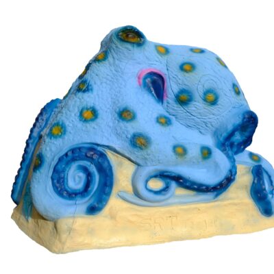 SRT Pandora Octopus