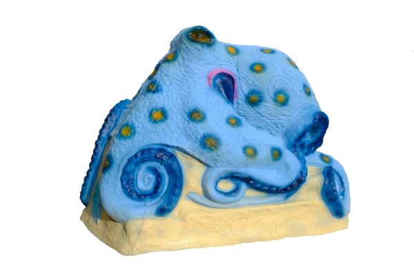 SRT Pandora Octopus