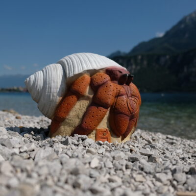 3Di Hermit Crab