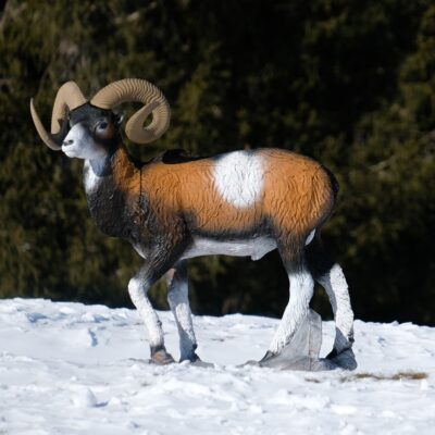 SRT Mouflon VSE standing with SFC inside