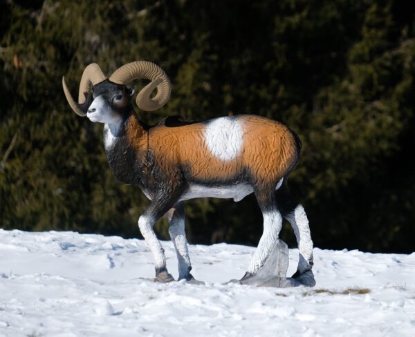 SRT Mouflon VSE standing (with SFC)