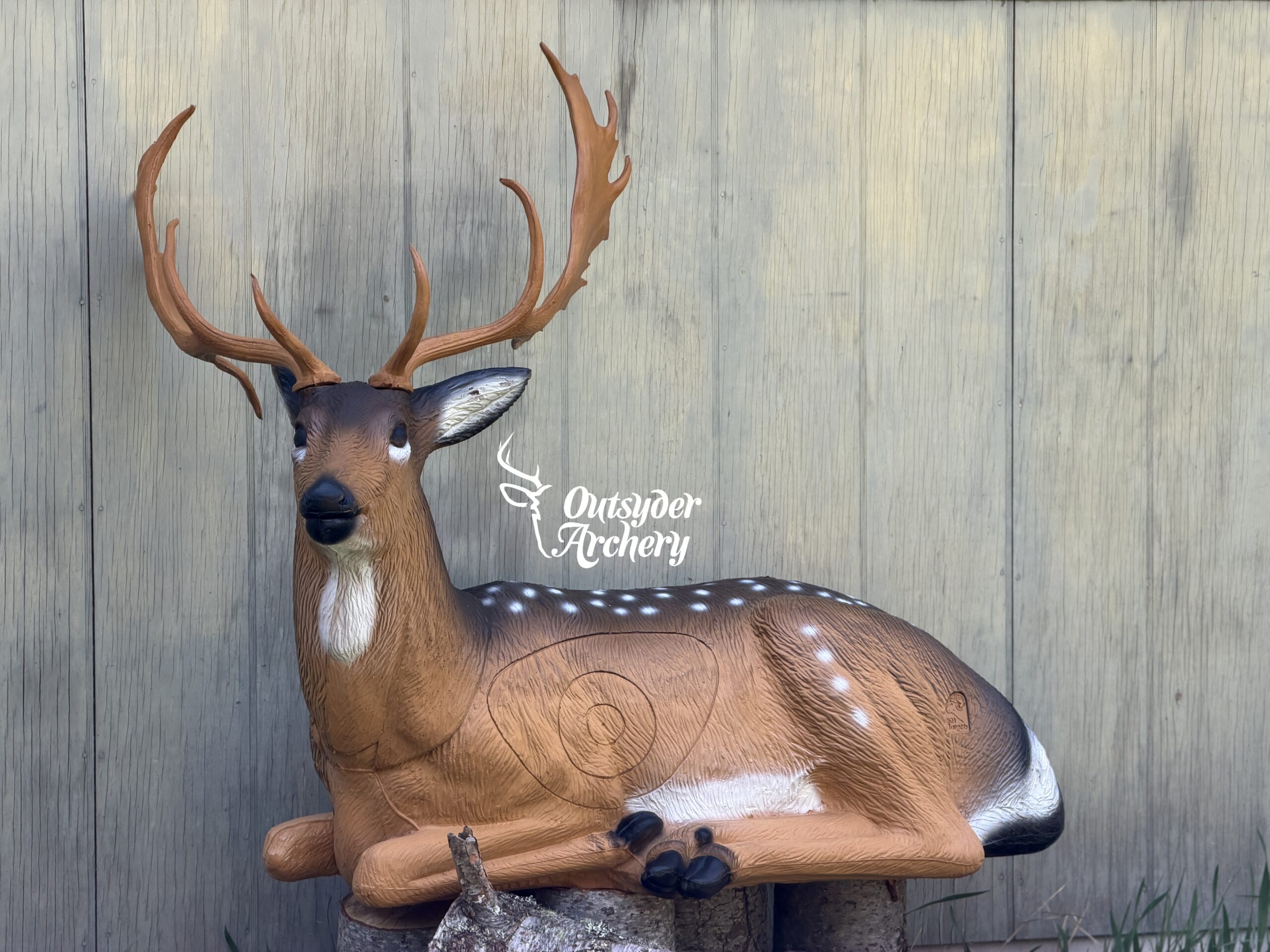SRT Bedded Deer spotted (with SFC) - Image 2