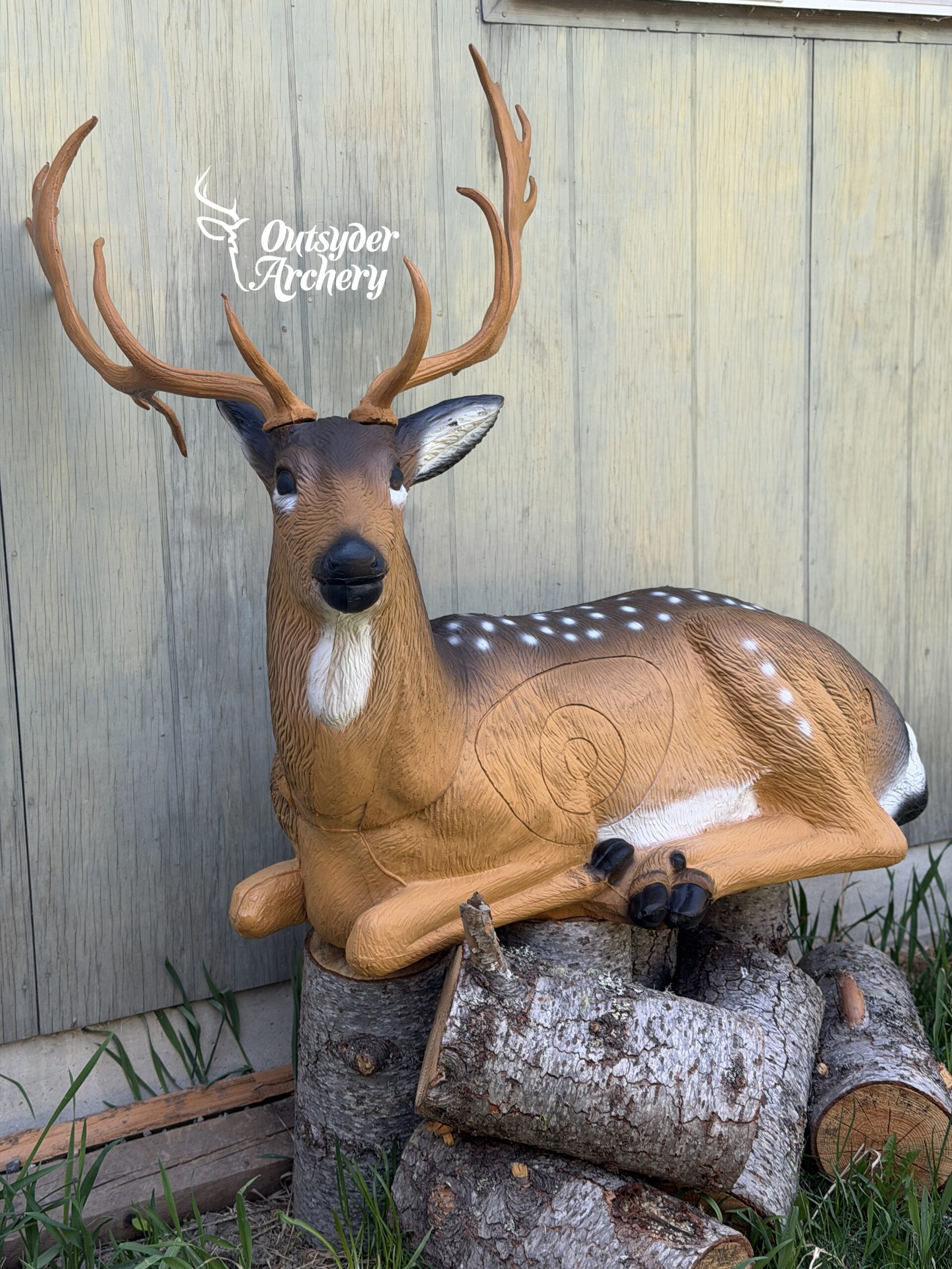 SRT Bedded Deer spotted (with SFC)