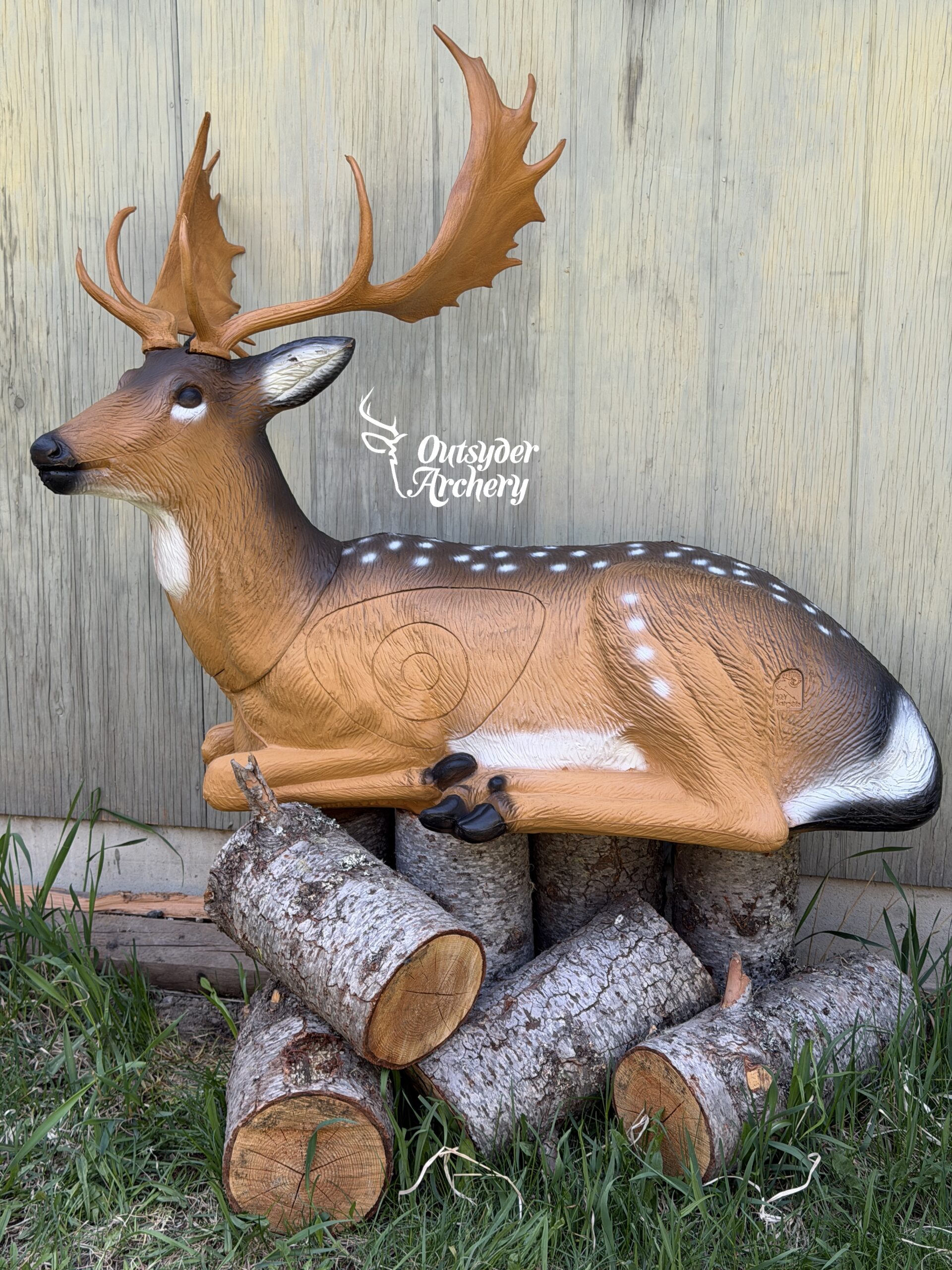 SRT Bedded Deer spotted (with SFC) - Image 3