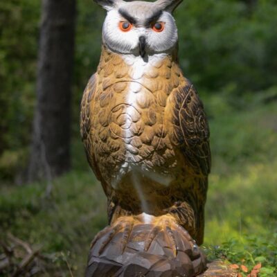 SRT King Owl