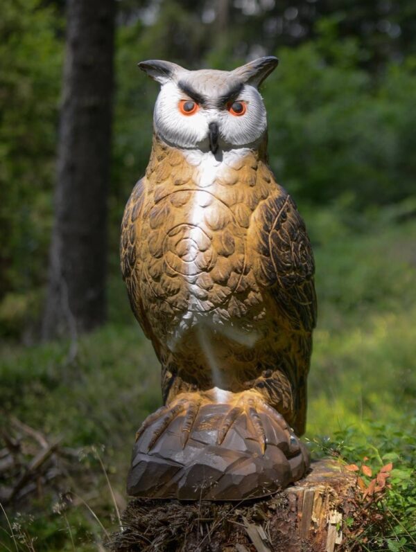 SRT King Owl