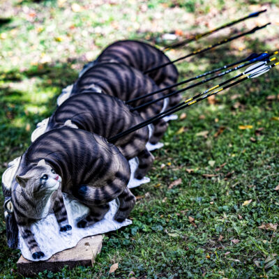 SRT Wildcat walking