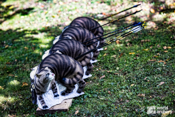 SRT Wildcat walking