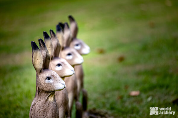 SRT Hare (with SFC)