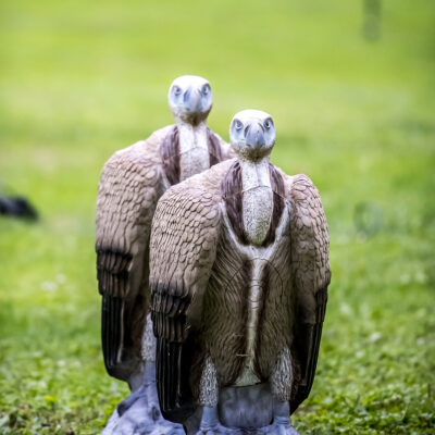 SRT Griffin
