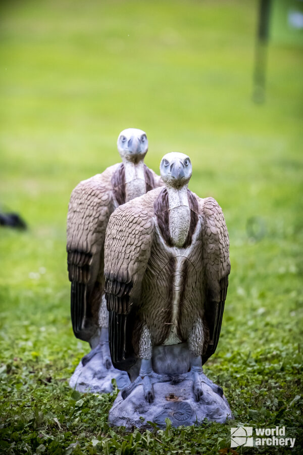 SRT Griffin