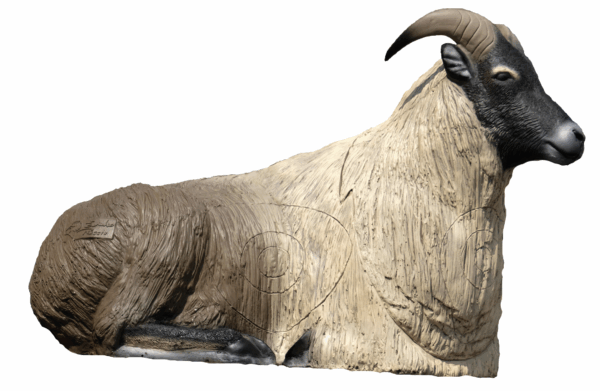 SRT Himalayan Tahr bedded