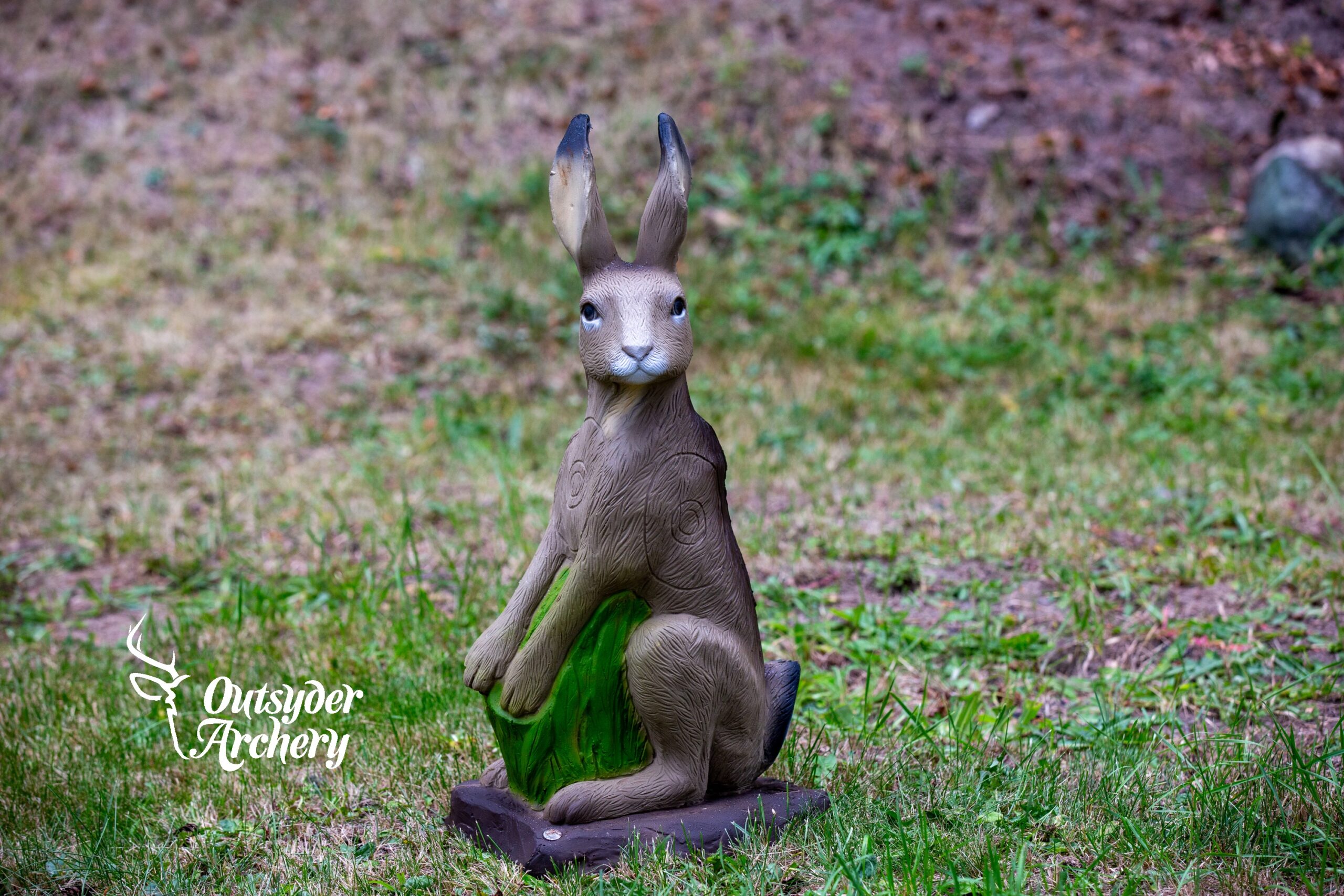 SRT Hare (with SFC) - Image 5
