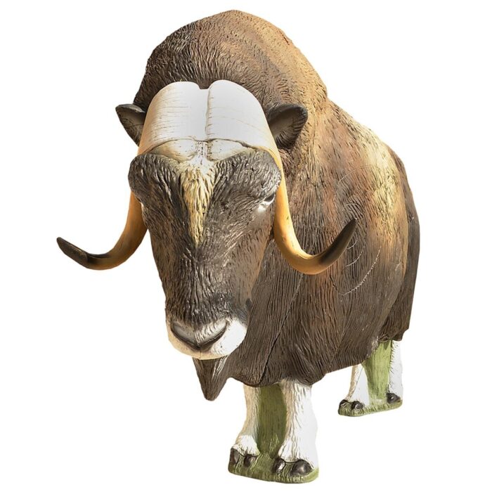 SRT Musk Ox - Image 5