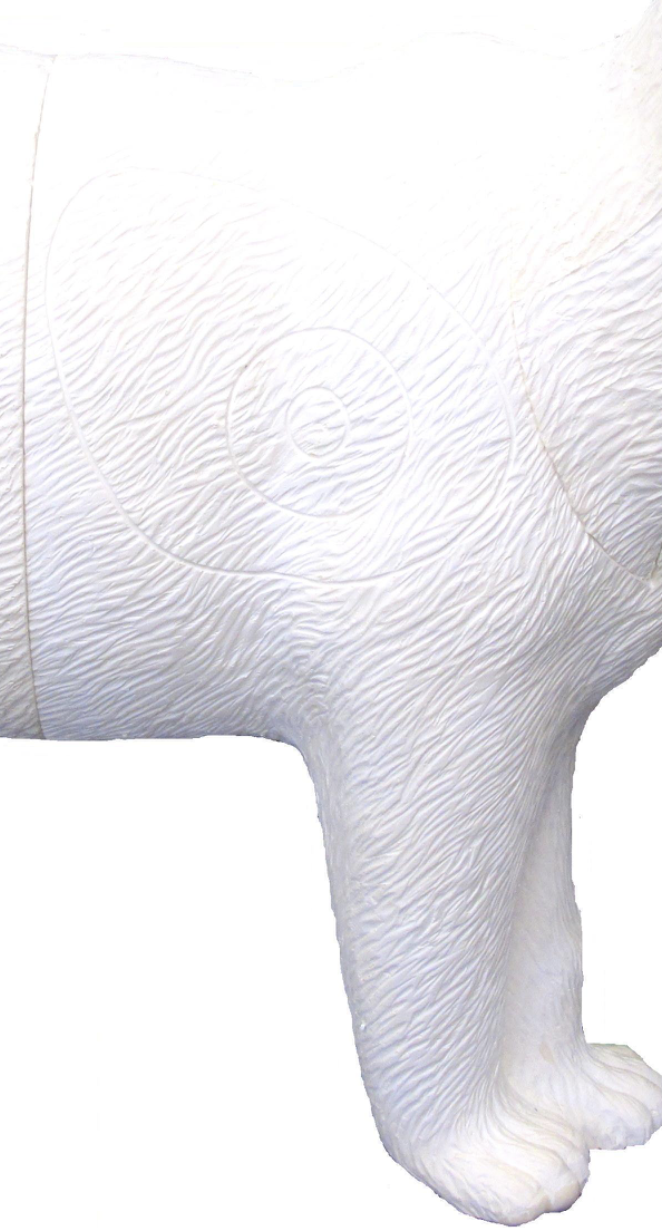 SRT CENTER Polar Bear on all fours