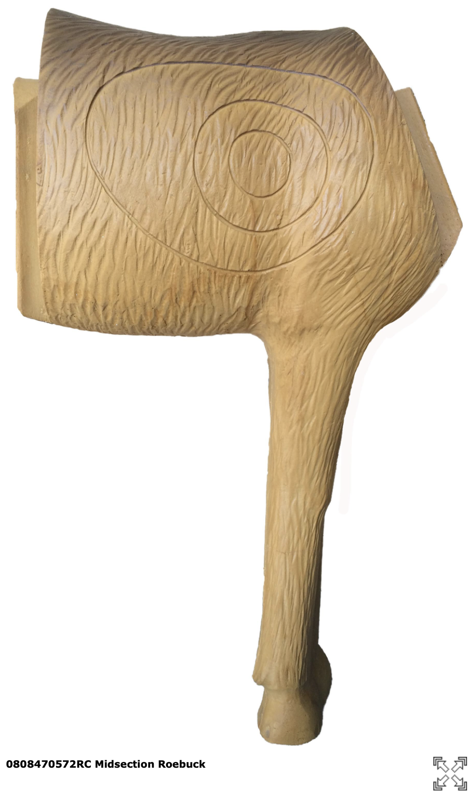 SRT CENTER Roebuck standing