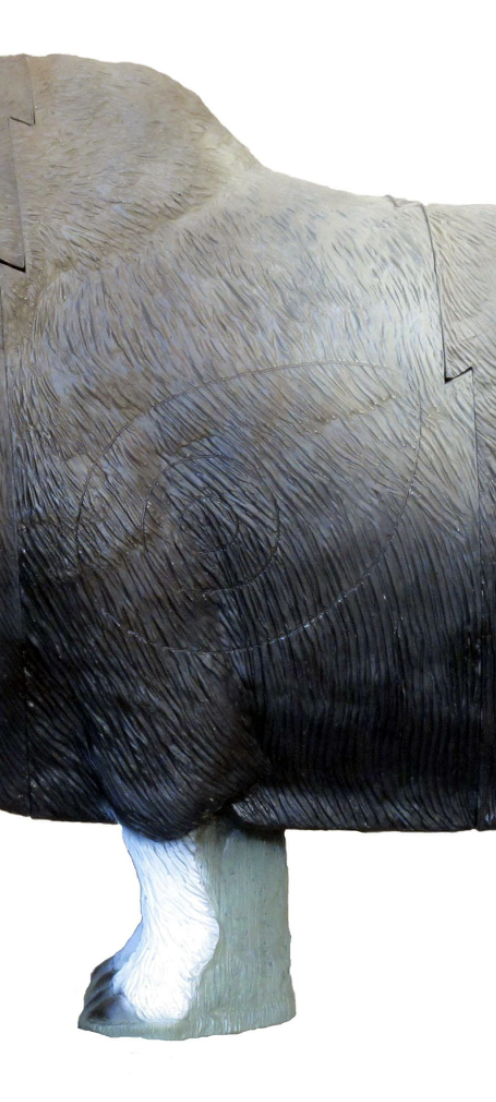 SRT CENTER Musk Ox