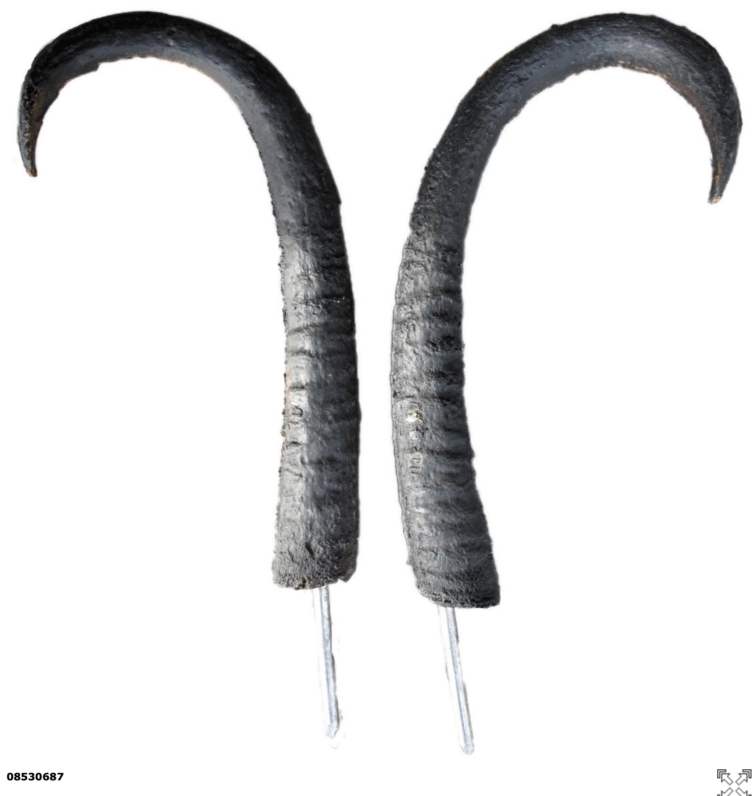 SRT Chamoise HORN