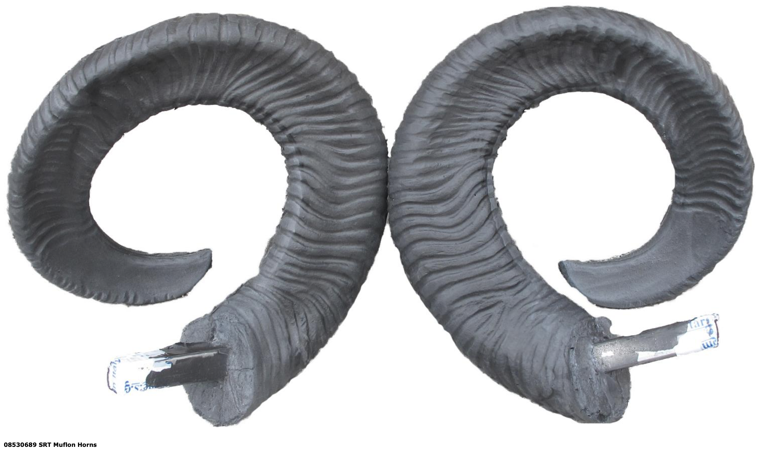 SRT Mouflon HORN