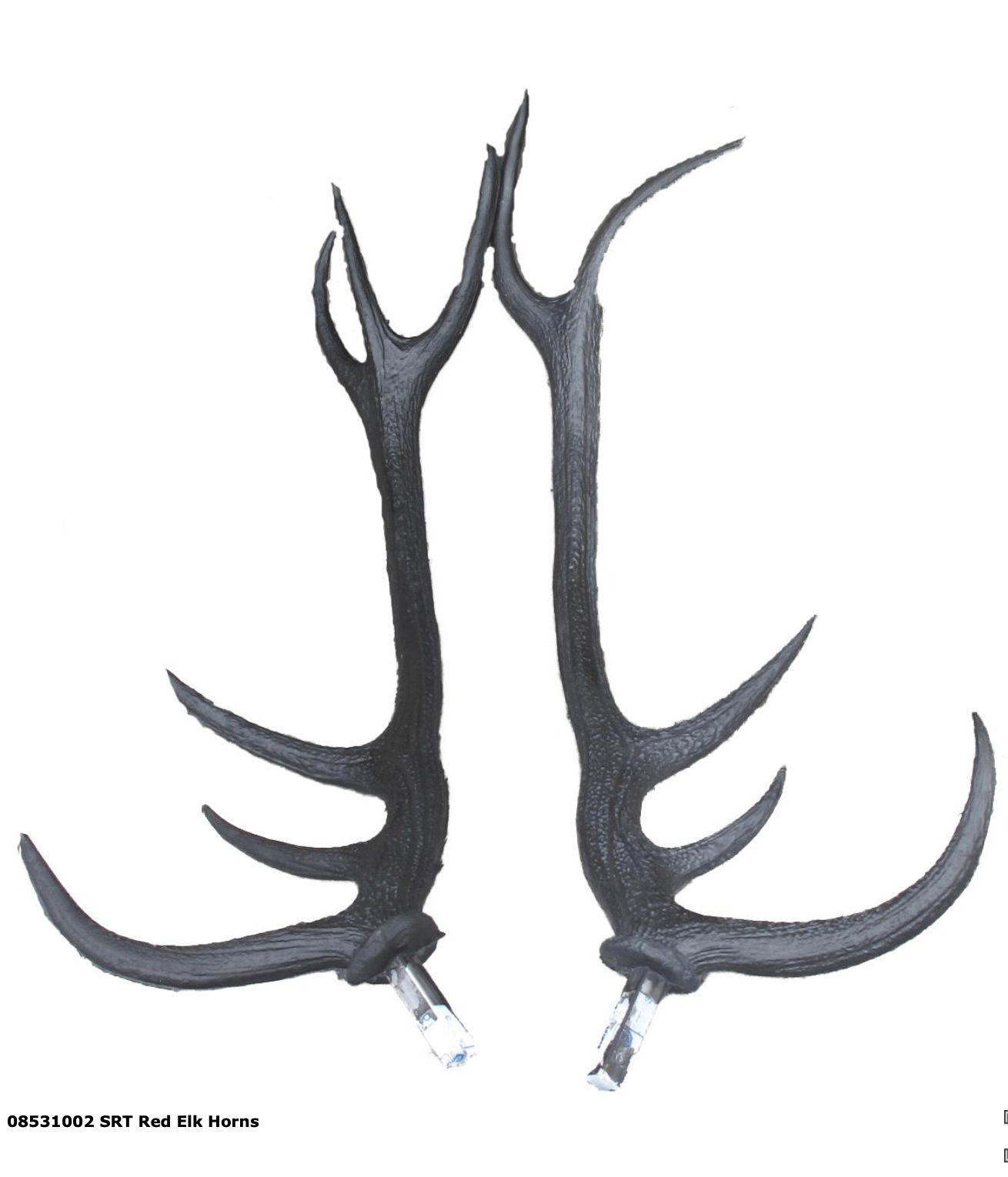 SRT Elk HORN