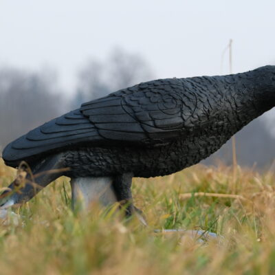 SRT Raven