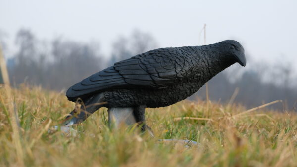 SRT Raven