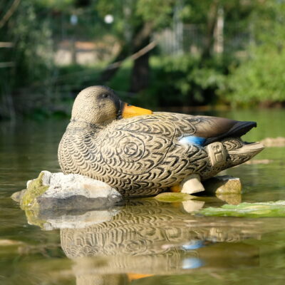 3Di Duck