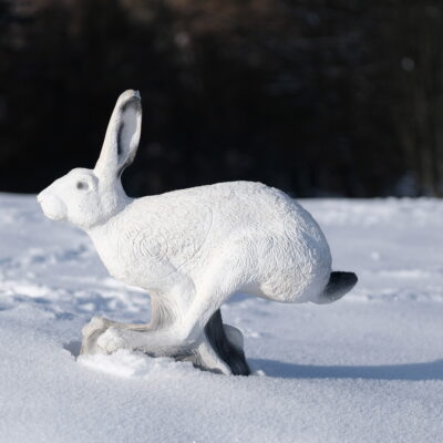SRT Snow Hare