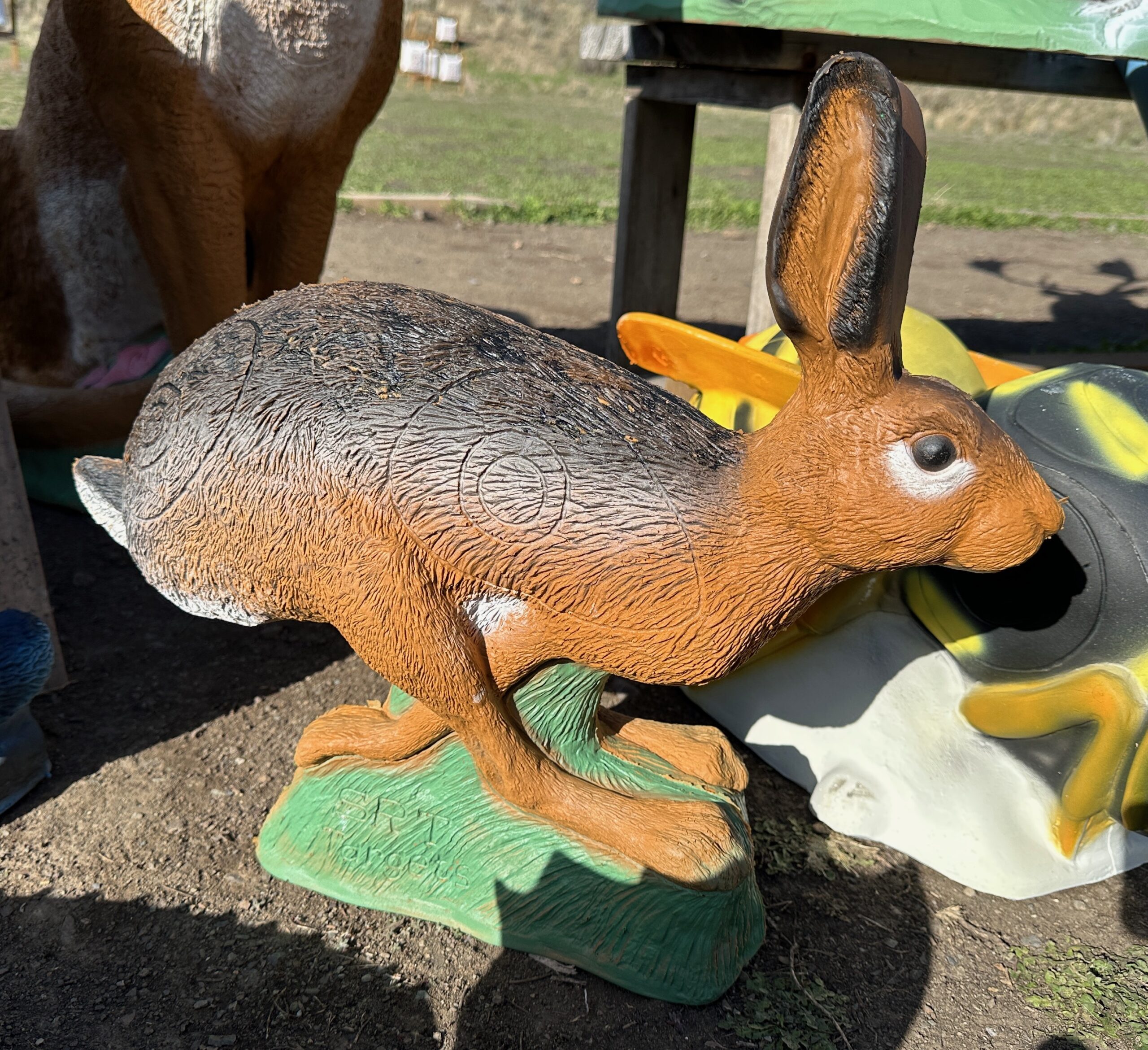 SRT Running Hare - Image 4