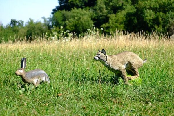 SRT Bobcat (with SFC)