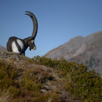 SRT Ibex bedded with SFC inside