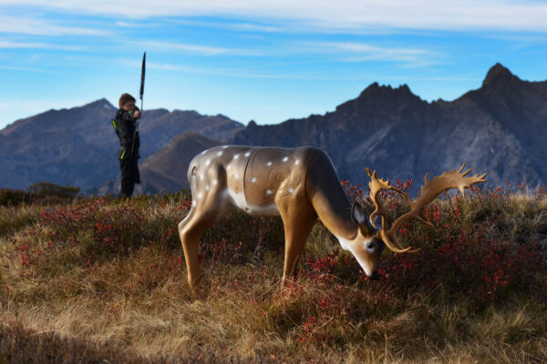 SRT Fallow Deer grazing (with SFC)