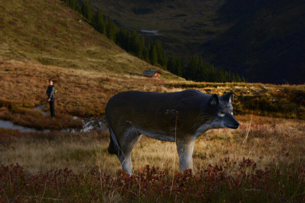 SRT Wolf standing