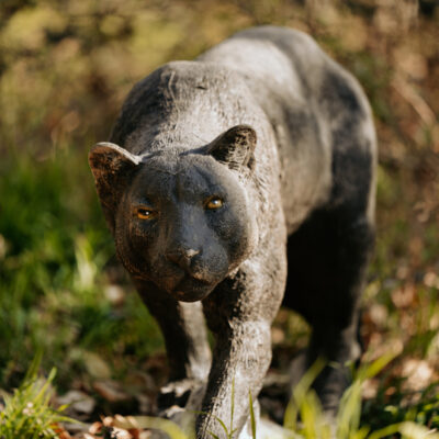SRT Black Panther walking with SFC inside