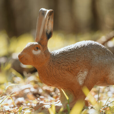 SRT Running Hare